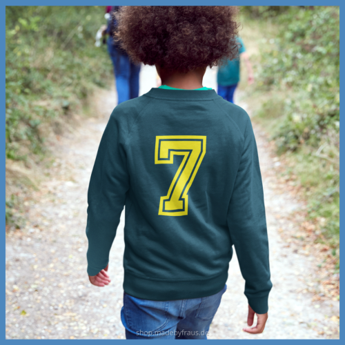 geburtstagsshirt plotten College