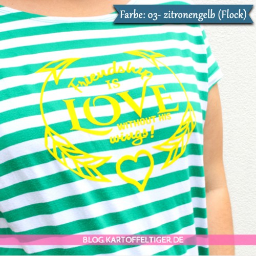 Friendship is love without is wings Bügelbild - Shirt