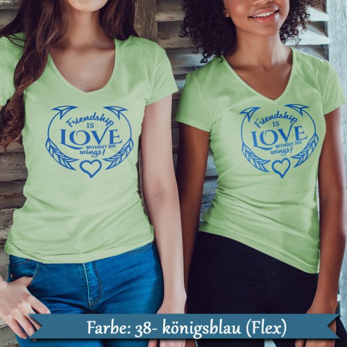 Friendship is love without is wings Bügelbild - Freundeshirts